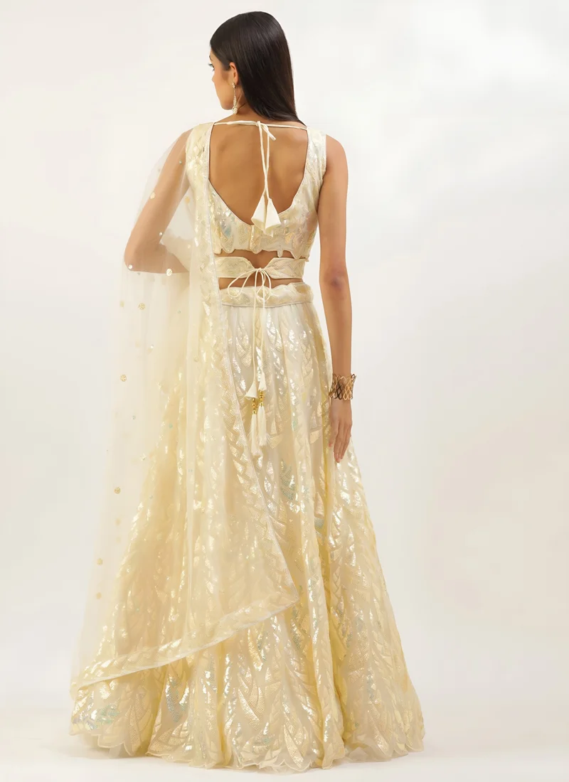 Cream Soft Net Multiple Sequins Embroidery Work Designer Lehenga Choli - 15101 - Image 5